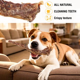 Hkpetty Natural Beef Tail Bones for Dogs - Long-Lasting Dental Chew, Rawhide-Free & Digestible Dog Treats,Single Ingredient Grass-Fed Beef（2 PCS）