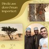 Superior Hojari Frankincense White from Oman - Boswellia Sacra -
