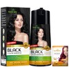 Herbishh Champú de color para cabello - Champú y acondicionador