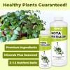 Hoya Fertilizer, Complete Liquid Hoya Plant Food, 8 oz (250mL)