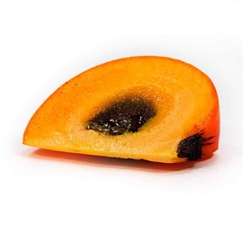 Food Sample Magnet, Persimmon Cut, 98.8 ft (263 m)