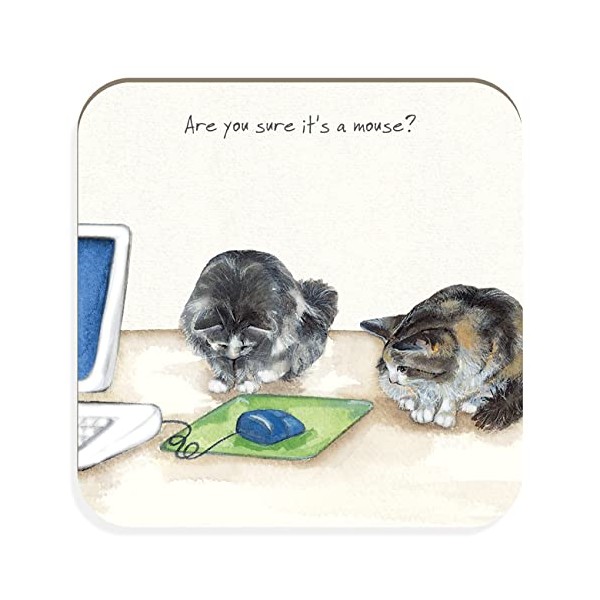 Playful Cats Are You Sure It's A Mouse? Little Dog