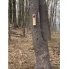 Lone Star Woodcraft Screech Owl House - Nesting Box -