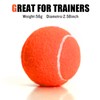MRYCZ FYRHD 40 Pack Tennis Balls, Ideal for Training, Practice,