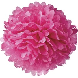 Lightingsky 10pcs DIY Decorative Tissue Paper Pom-poms Flowers Ball Perfect for Party Wedding Home Outdoor Decoration (4-inch Diameter, Rose)