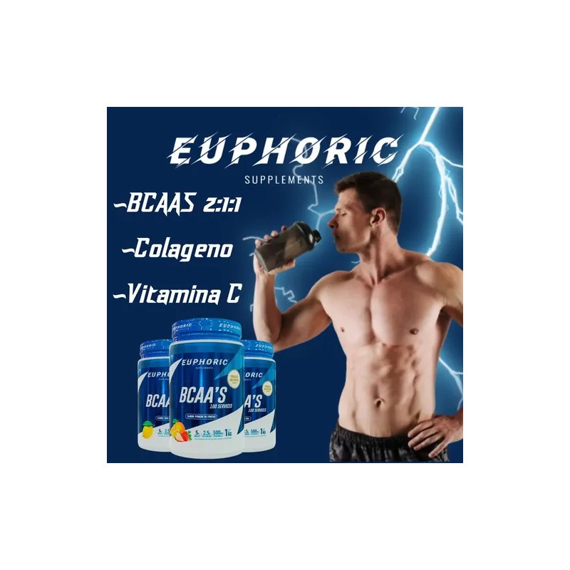Bcaa Euphoric Colágeno Vitamina 1kg Ponche Frutas