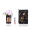 Cote Noire-Perfumed Natural Touch Rose Bud in Black and French