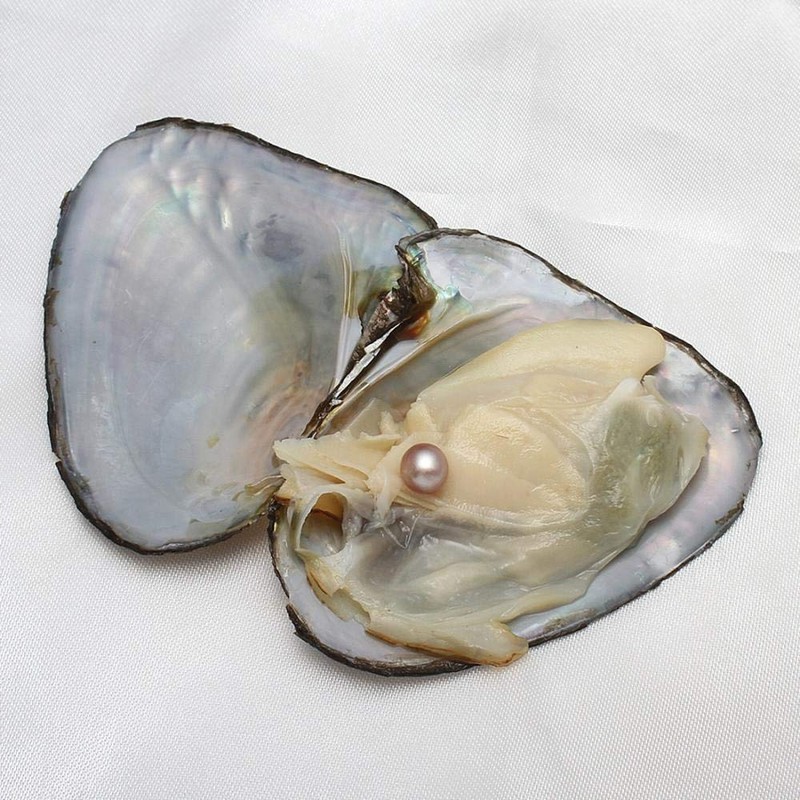 Kwolf Colorful Freshwater Oysters with 15 Pearls 78mm Bead Small