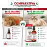 Suplemento Natural Preventivo De Infecciones Urinarias Gato