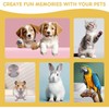 Quick-Dry Dog Nail Polish Pens - 12 Safe Colors for
