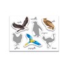 Clementoni - Sapientino Montessori 3 Years with Shaped Cards, Flashcards,