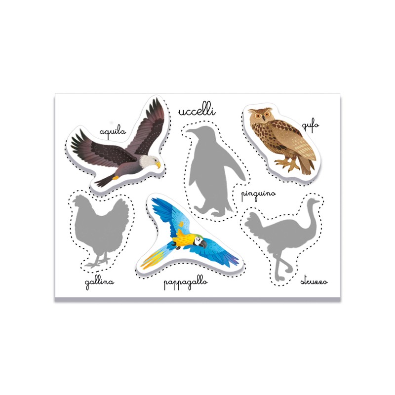 Clementoni - Sapientino Montessori 3 Years with Shaped Cards, Flashcards,