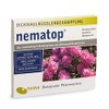 nematop® HB Nematodes for Combating Otiorhynchus