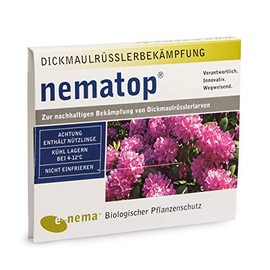 nematop® HB Nematodes for Combating Otiorhynchus