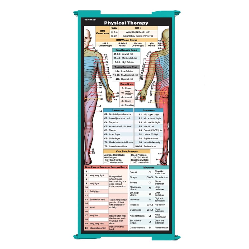 Whitecoat Clipboard® Trifold - Physical Therapy Edition (Teal, Trifold)