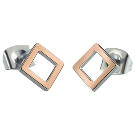 Boccia Women Titanium Stud Earrings - 05022-03