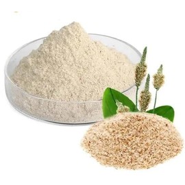 PURIMA Psyllium Husk Powder 2kg - 99% Purity Blond Powdered Husks Bulk Soluble Natural Fibre for Baking Drinks Food Humans Eat Gut Laxatives Constipation Relief Digestive Aid Ispaghula Isabgol Ispaghol