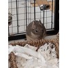 Sleepy Degu Bedding (60g) (3)