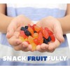 Welch's Fruit Snacks, Mixed Fruit, Gluten Free, Bulk Pack, 0.9
