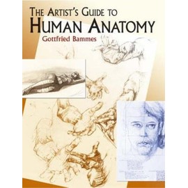 The Artist's Guide to Human Anatomy (Dover Anatomy for Artists)