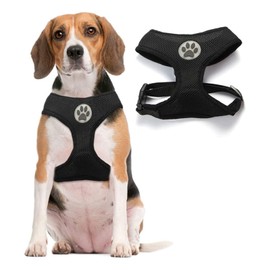 BINGPET Small Dog Harness - Breathable Mesh Puppy Cat Harnesses - No Pull Adjustable Dog Harness Dog Vest Harness for Small and Medium Dogs