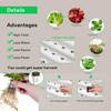 VIVOSUN Wall-Mounted Hydroponic Grow Kit, 1 Layers 36 Plant Sites