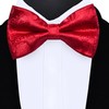 Gusleson Paisley Red Bow Tie Pocket Square Set for Wedding