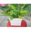 Plastic Artificial Lotus Flower with White Square Procelain Pot