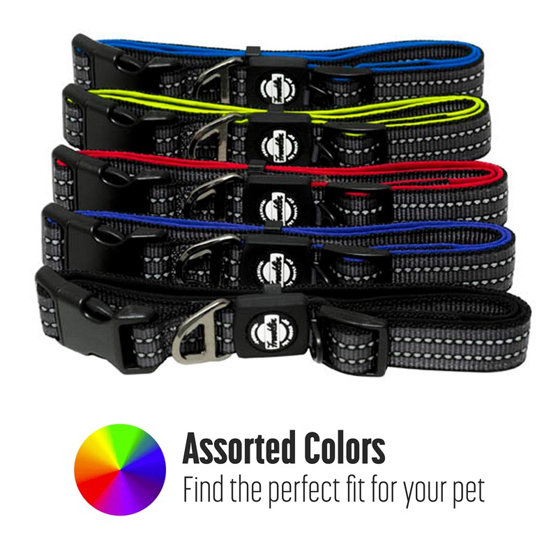 Franklin Sports Nylon Dog Collar – Reflective – Franklin Pet