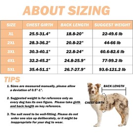 Recovery Suit Post Surgery for Large Medium Dog, Spay Recovery Suit for Male and Female Dogs, Post Surgery Dog Onesie, Substitute E-Collar & Cone (Gray-2XL)