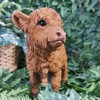 Vivid Arts - Highland Cattle Calf - PP-HLCF-F