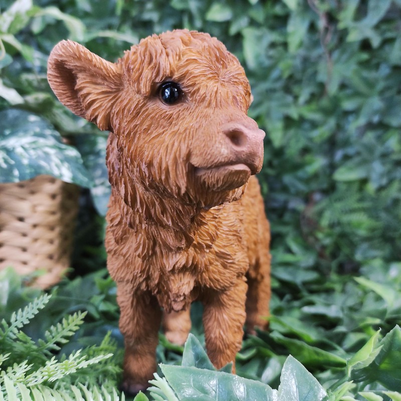 Vivid Arts - Highland Cattle Calf - PP-HLCF-F