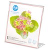 ハクバ HAKUBA フォトスタンド アクリルLフレーム 色紙サイズ FACL-SK クリア