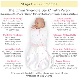 SwaddleDesigns Omni Swaddle Sack with Wrap & Arms Up Sleeves & Mitten Cuffs, Heathered Sterling & Stripes, Small, 0-3 Months