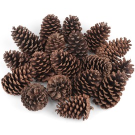 18PCS Large Natural Pine Cones Christmas Natural Pine Cones Scented Pine Cones for Christmas Decor DIY Crafts and Home Decorations