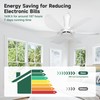 Roodike 22.5" Plug in Ceiling Fan for Outdoor Gazebo Patio