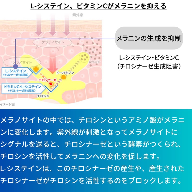 【第3類医薬品】トランシーノ ホワイトCクリア 60錠