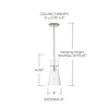 Capital Lighting 342411PN Mila Modern Clear Half-Crackle Glass Pendant Light