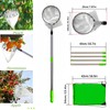 Fruit Picker Length Adjustable Stainless Steel Lemon Orange Pear Picker