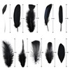 FeelfunFeather Pheasant Feathers -30pcs 5 Style Natural Mixed Decorative Spotted