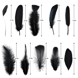 FeelfunFeather Pheasant Feathers -30pcs 5 Style Natural Mixed Decorative Spotted Feathers for DIY Crafts Wedding Home Party Decoration