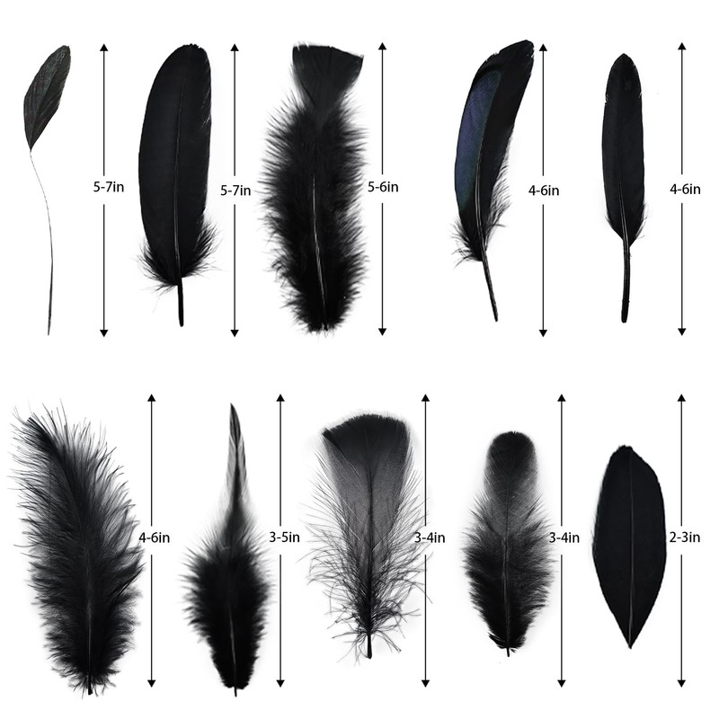FeelfunFeather Pheasant Feathers -30pcs 5 Style Natural Mixed Decorative Spotted