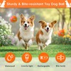 SUJF Smart Interactive Dog Ball, Interactive Dog Toys with Remote