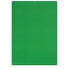 Westcott 579 Green Screen Backdrop 5 x 7 Feet (Green)
