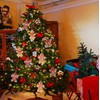 Christmas Tree Decorations, 12 Pieces, Traditional Ginger Man, Gingerbread Man