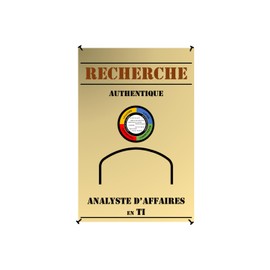 Recherche authentique analyste d'affaires en TI