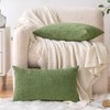 EMEMA Pack of 2 Soft Chenille Throw Pillow Covers 12x20