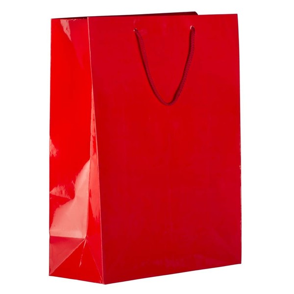 JAM PAPER Gift Bags with Rope Handles - X-Large -