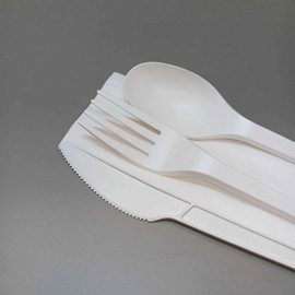 Compostable Cutlery Set Disposable (250 Pcs) – White Napkin, Fork Spoon Knife Set - Plastic Cutlery Combo Party Utensils
