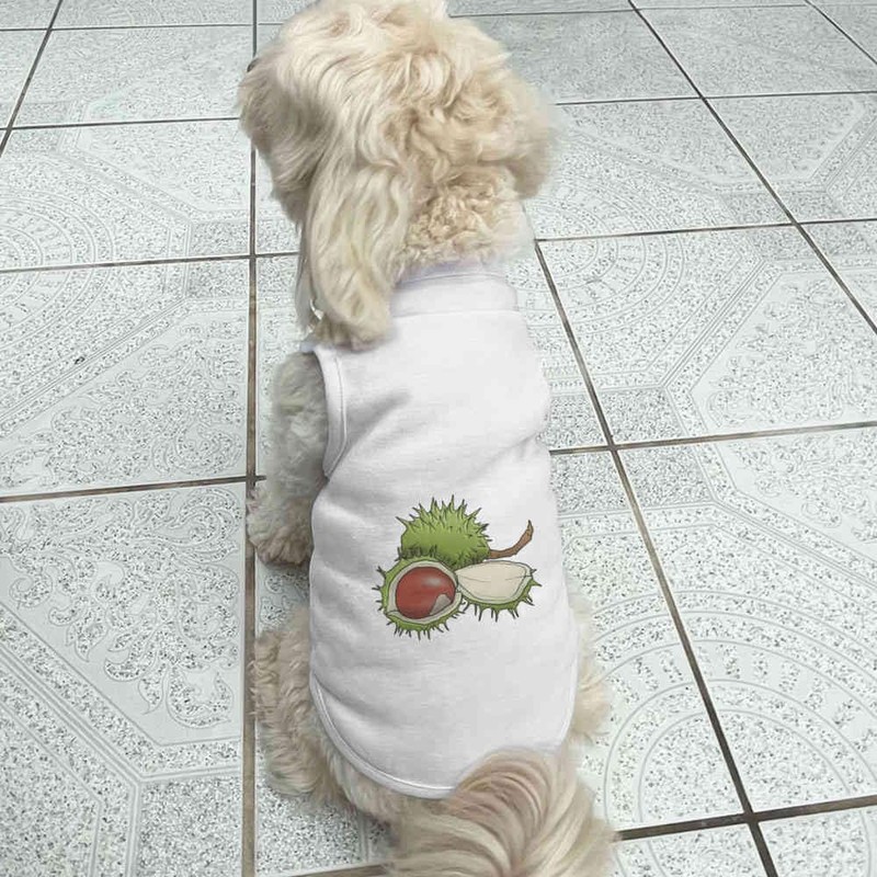 'Conkers & Shells' Pet Dog/Cat T-Shirt (PT00091675)